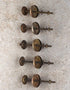Brass Antique Set of 5 Screw